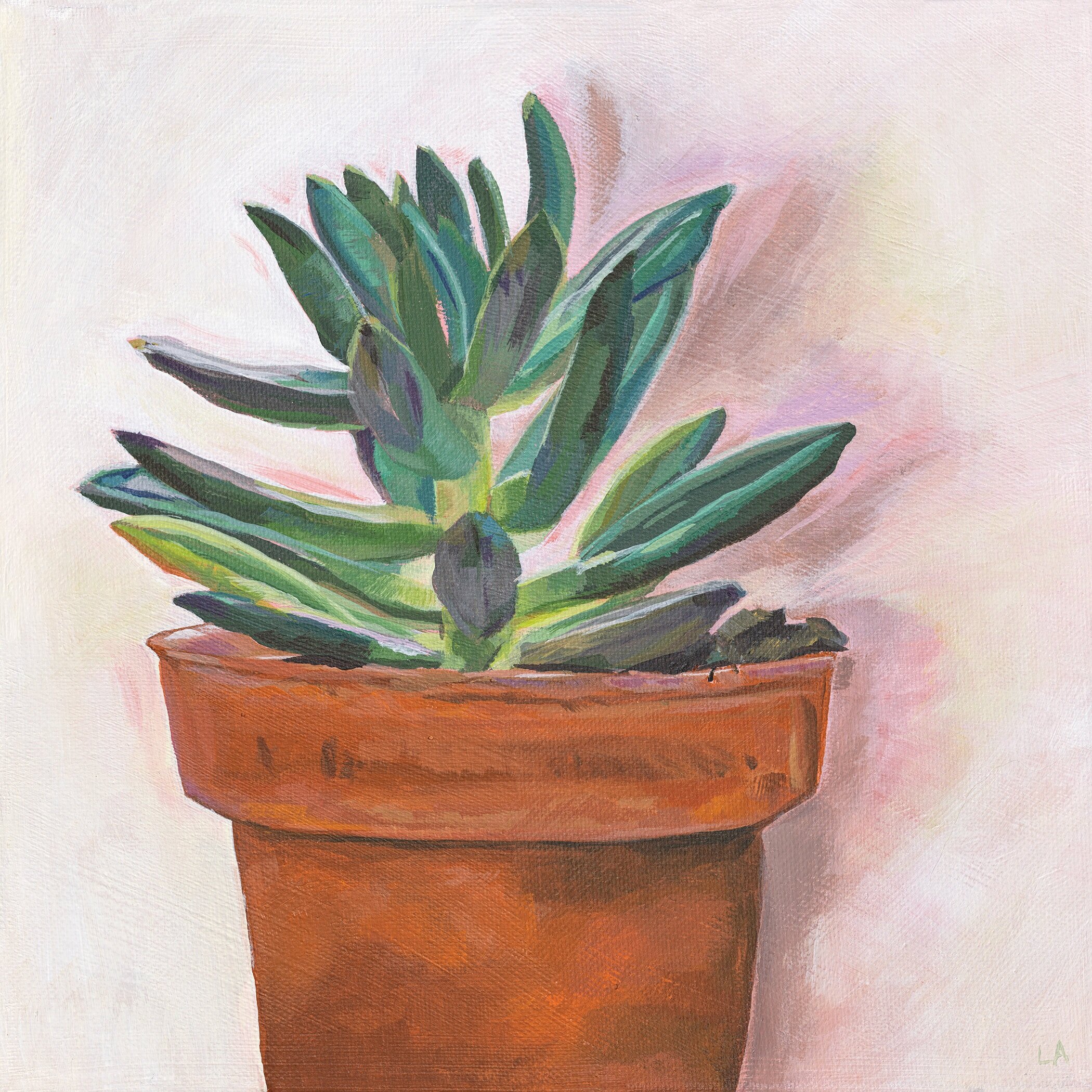 Succulent+1_final.jpg