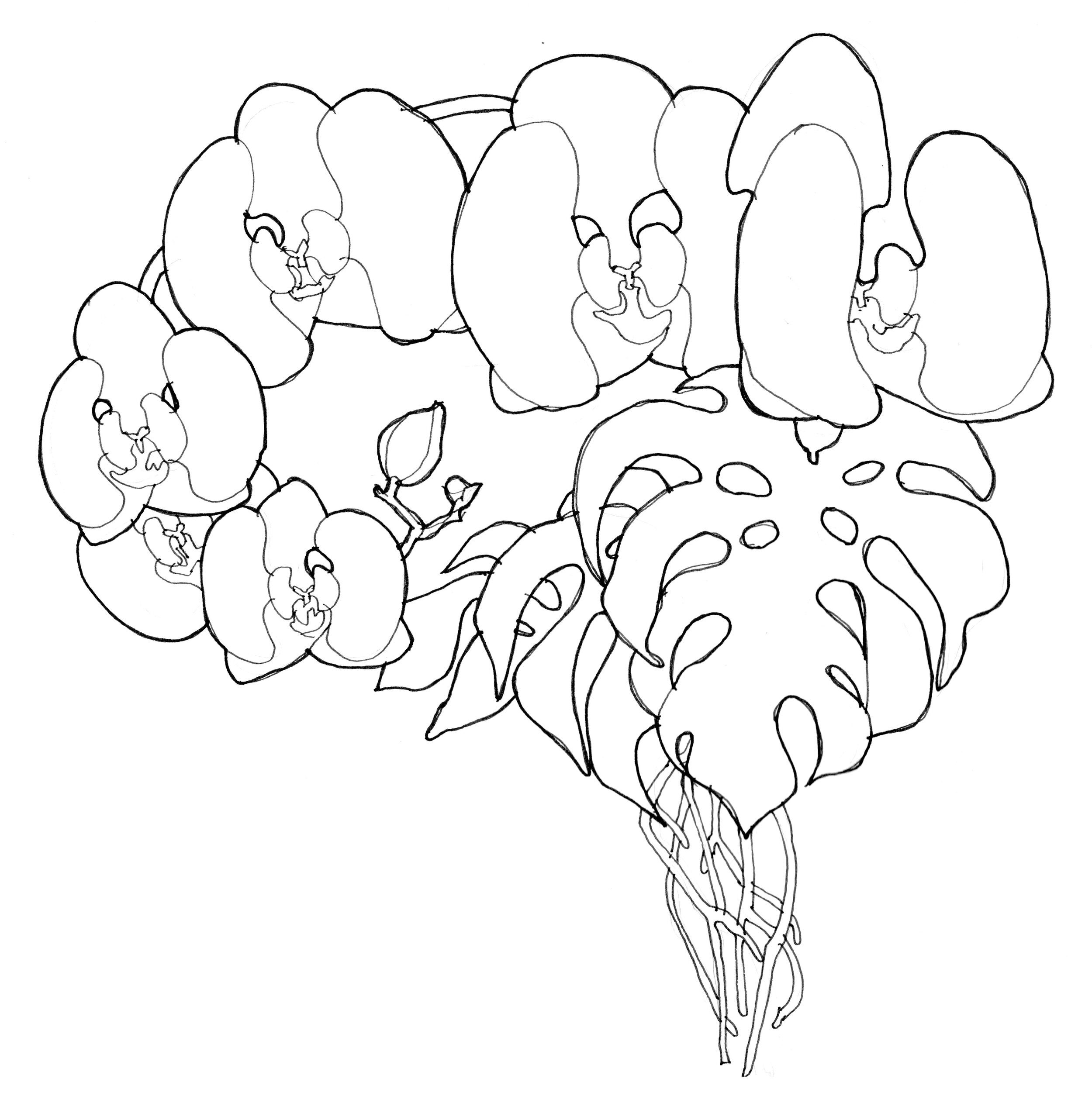 BRAIN.jpeg
