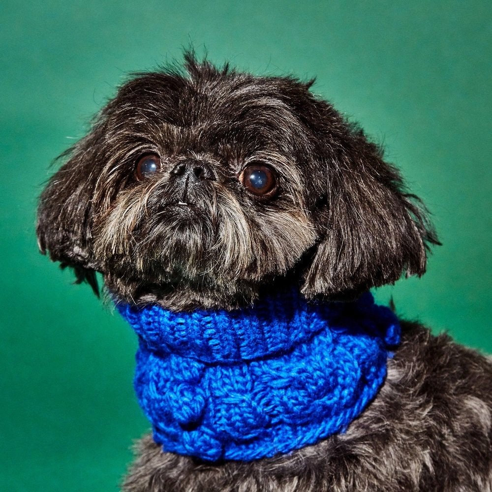 Cable Bobble Turtleneck Royal.jpg
