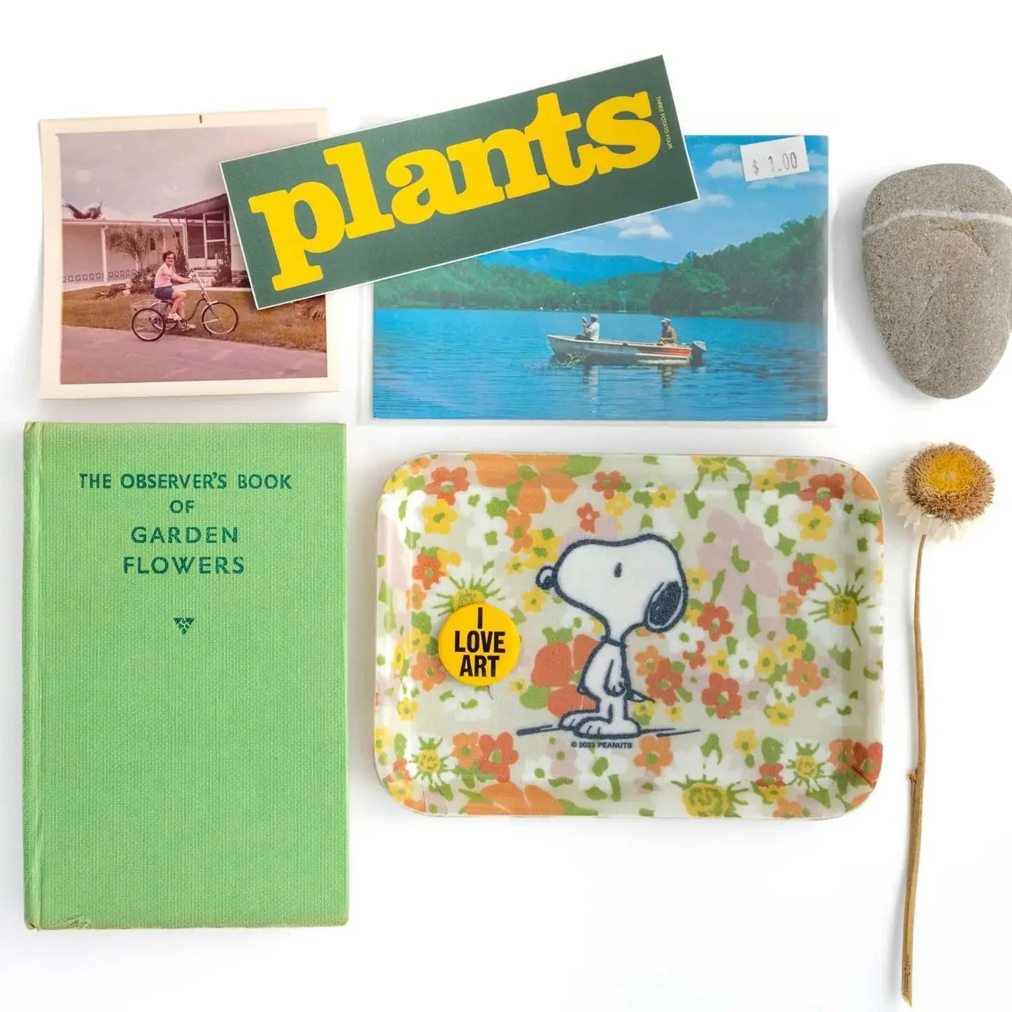 snoopy tray flowers 2.jpg