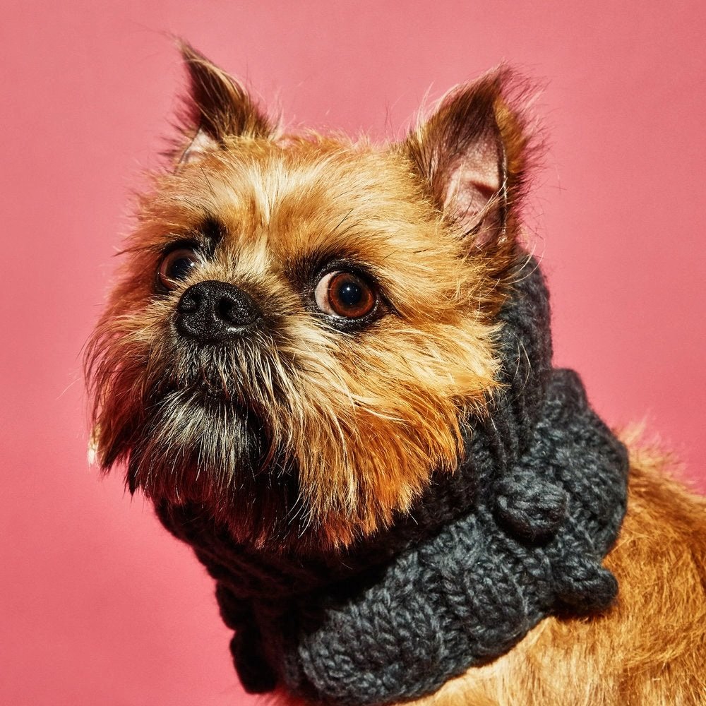 Cable Bobble Turtleneck gray.jpg