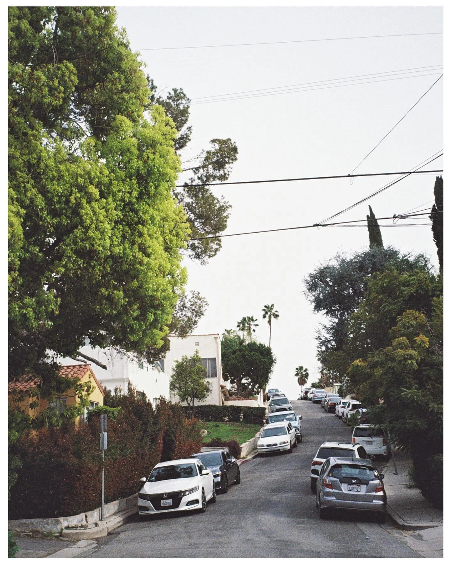 angelinos being angelinos 🏹

📷 samsung evoca
🎞️ @kodak #ultramax400 
👩&zwj;🔬 @rewindfilmlab 

.

.
#lunacollective #35mmfilm #filmphotography #thefilmgang #filmgrain #thedaily35mm #streeteye #everybodyfilm #filmcamera #filmcommunity #lovefilm #w