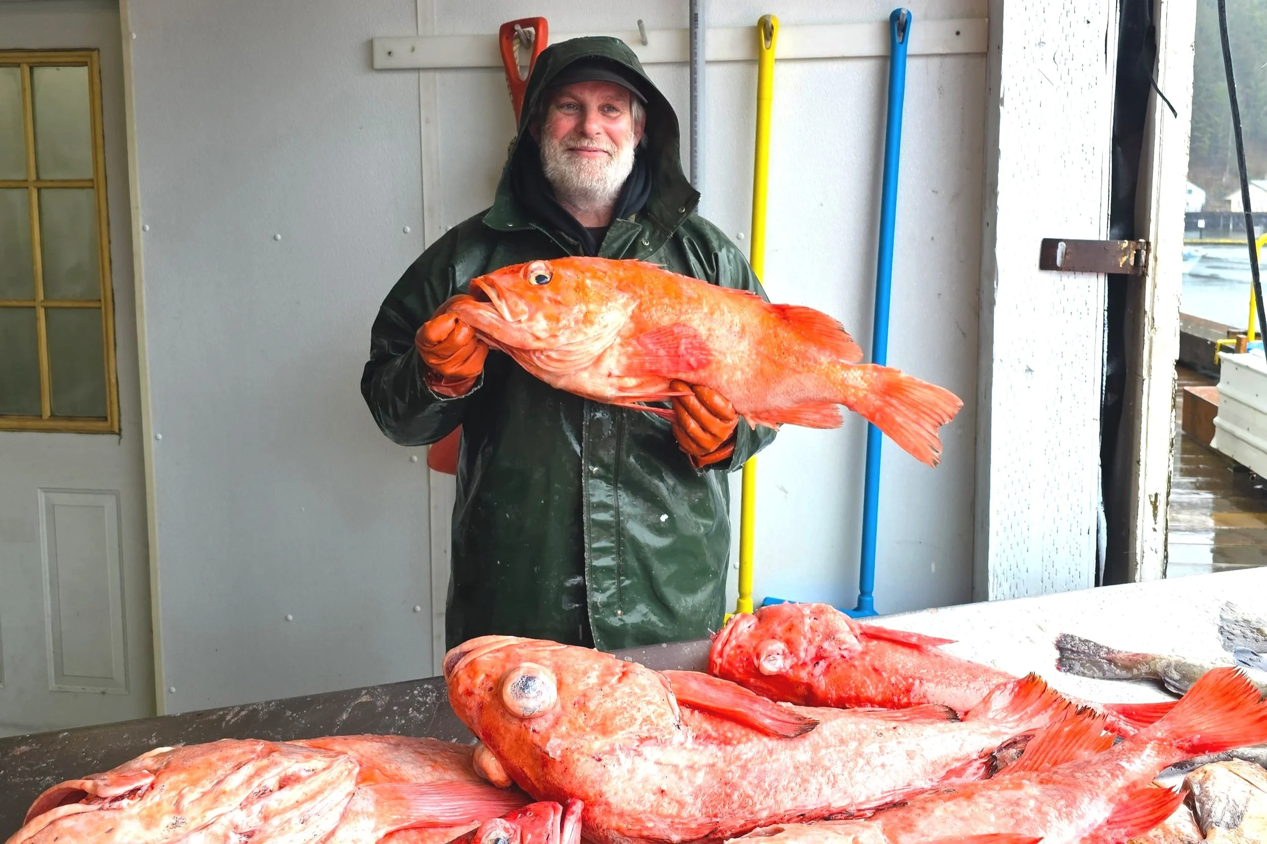 Wild Caught Alaskan Black Cod Collars — Yakobi Fisheries