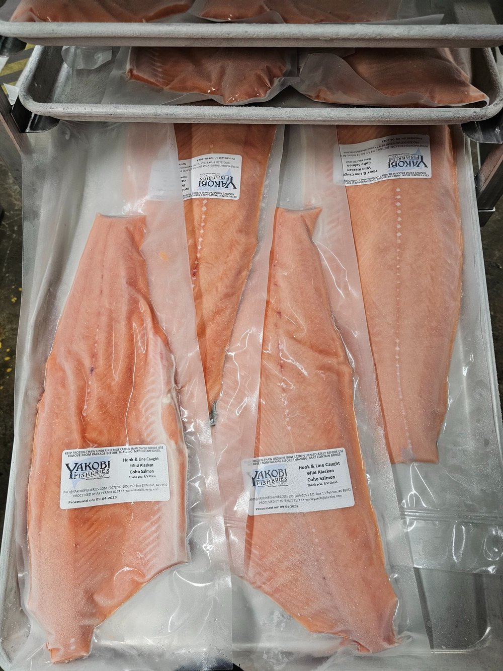 Wild Alaskan Coho Salmon Pre-Order Season Share — Yakobi Fisheries