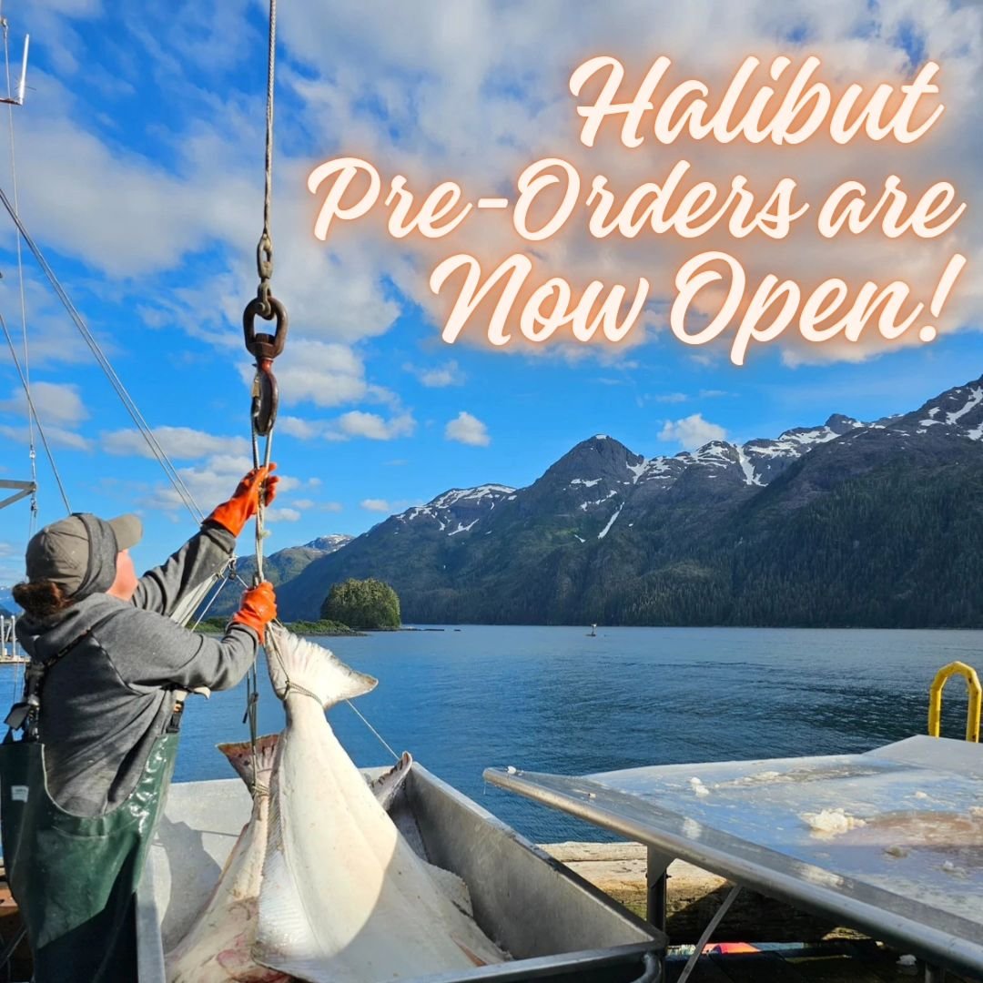 It's time to lock in your share of our 2024 halibut harvest!

Order now, ships in June.  Support our small business and the fishermen around Pelican, Alaska.  Eat wild caught halibut.  The steak of the sea!

Link in our bio.

#wildalaskanhalibut #buy