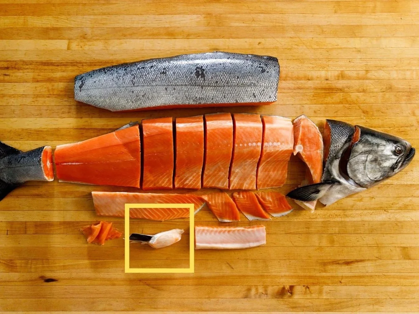 salmonKnuckle.jpg