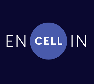 Encellin Partners with Breakthrough T1D to Advance Immune-Protected Cell Therapy for Type 1 Diabetes
