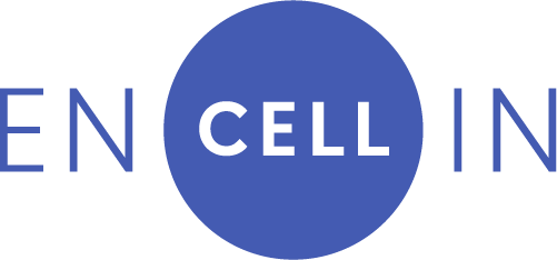 Encellin Announces Interim Clinical Results Showing First-in-Human Non-Fibrotic Engraftment and Viable Encapsulated Human Islets in Subjects with Type 1 Diabetes