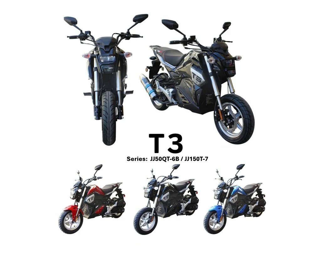T3