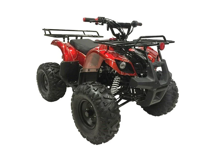 ATV125-RX8 pic20.jpg