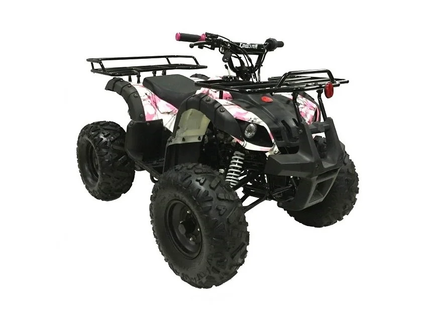 ATV125-RX8 pic12.jpg