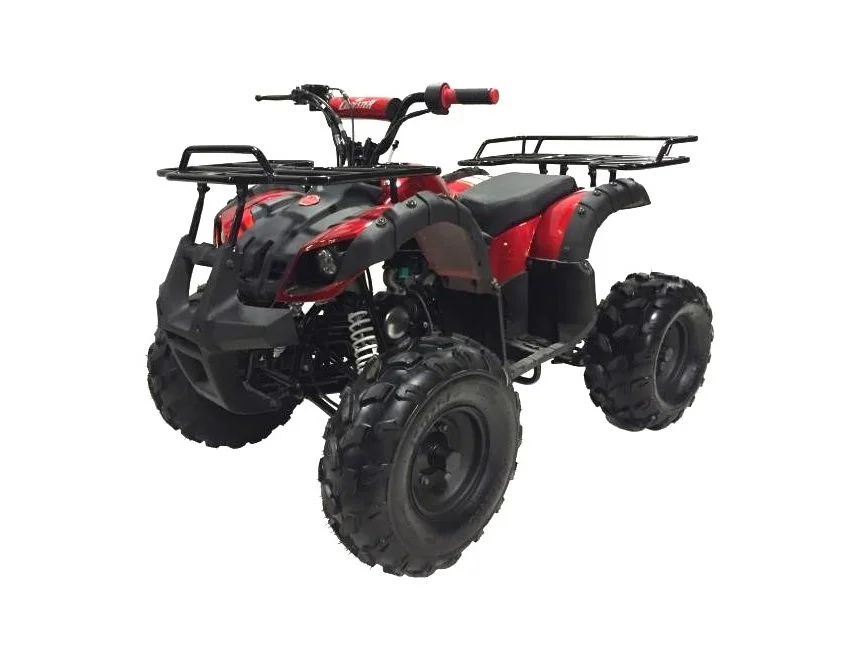 ATV125-RX8 pic5.jpg