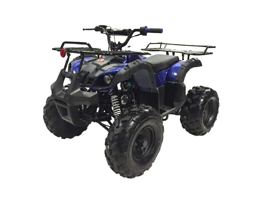 ATV125-RX8 pic3.jpg