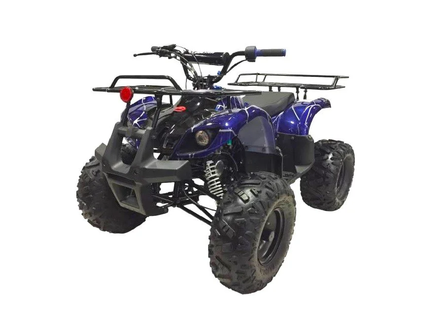 ATV125-RX8 pic17.jpg