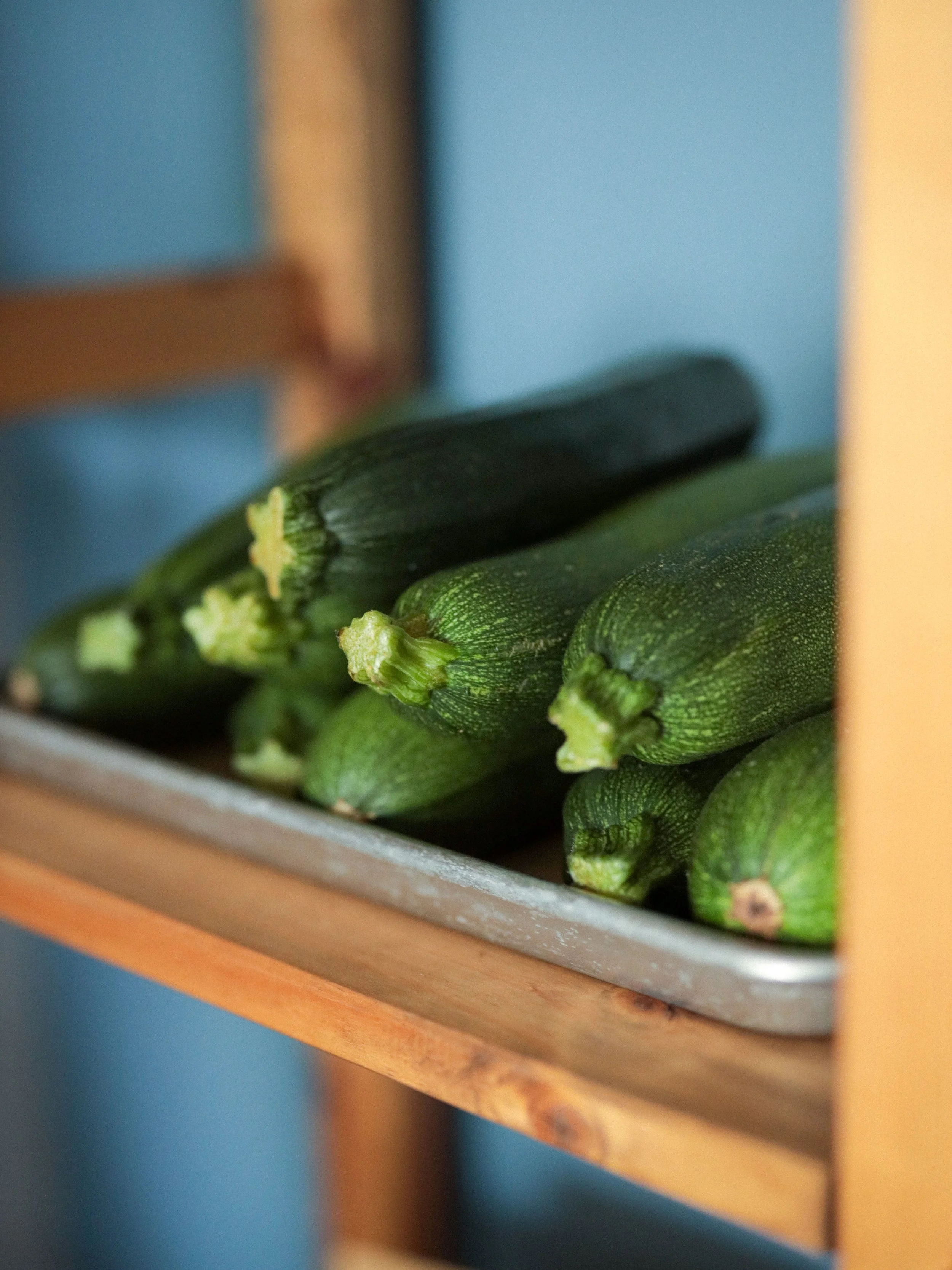 Zucchini