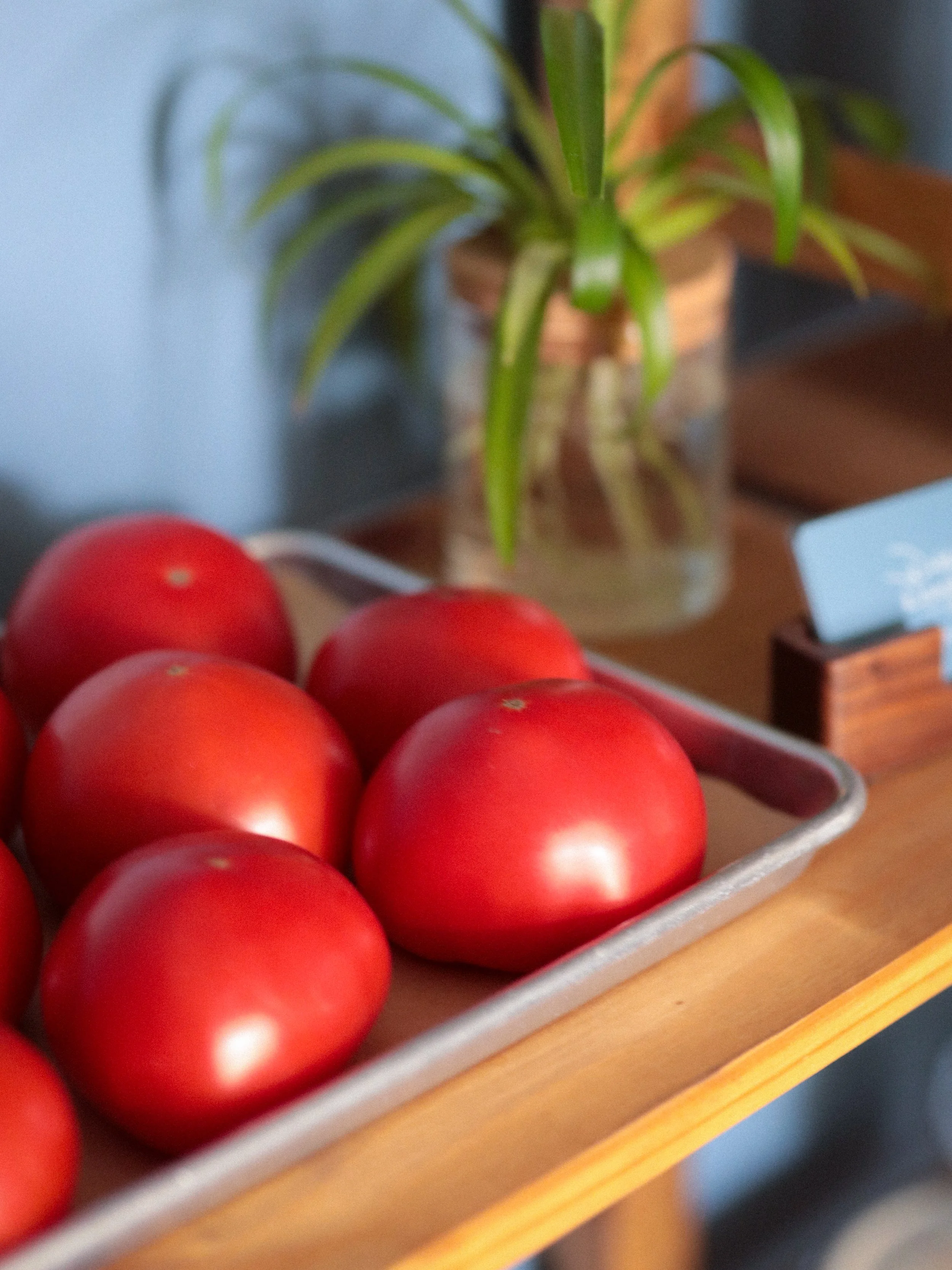 Tomatoes