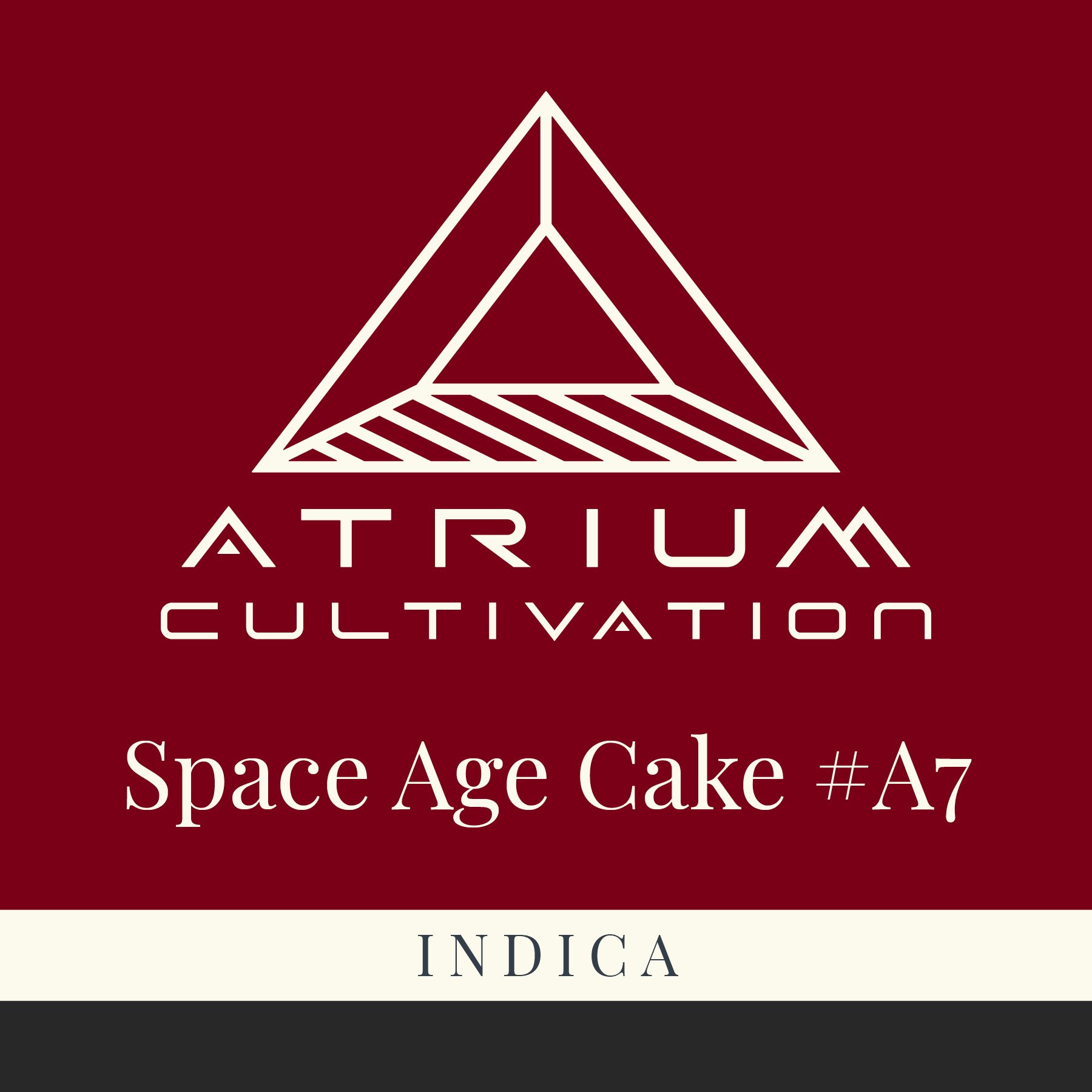 Space Age Cake.jpg