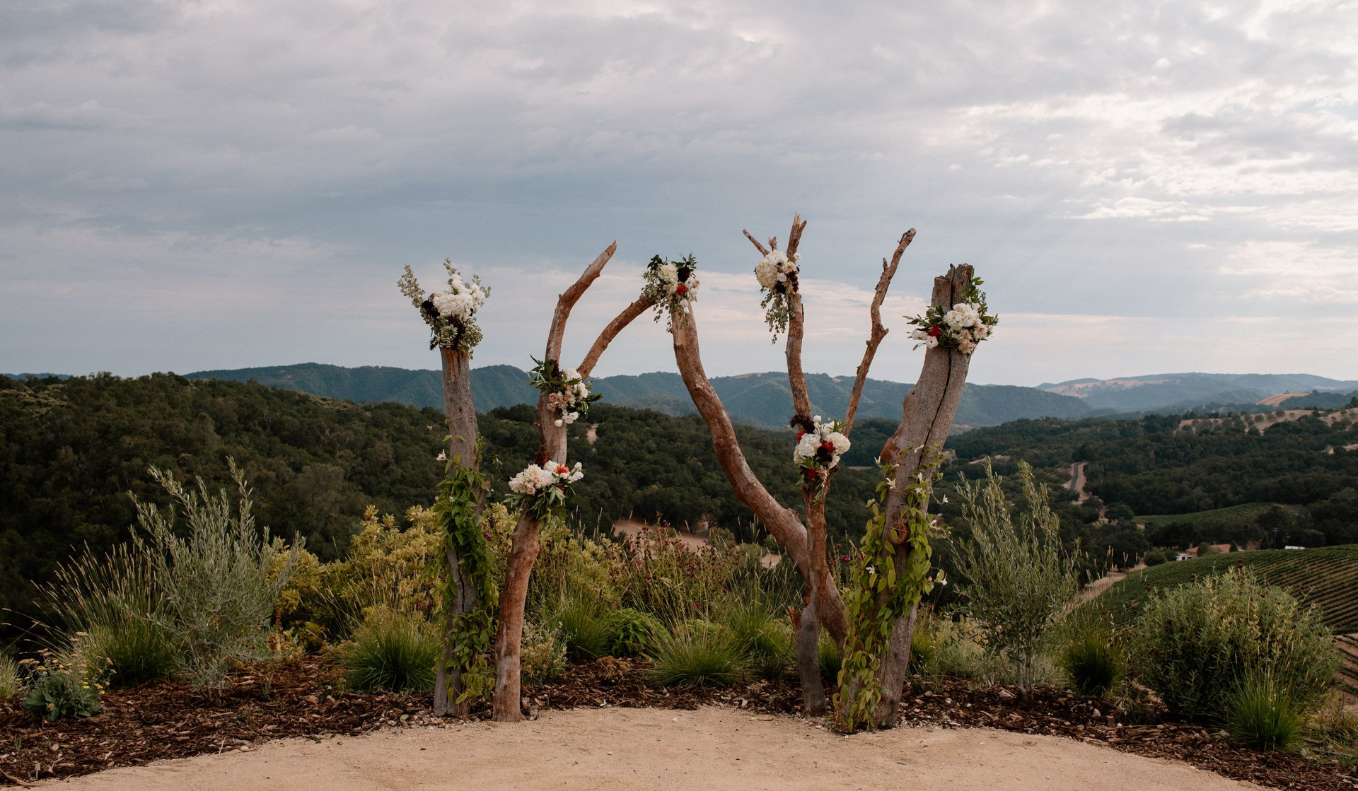 California Winery Wedding Photographers-87.jpg