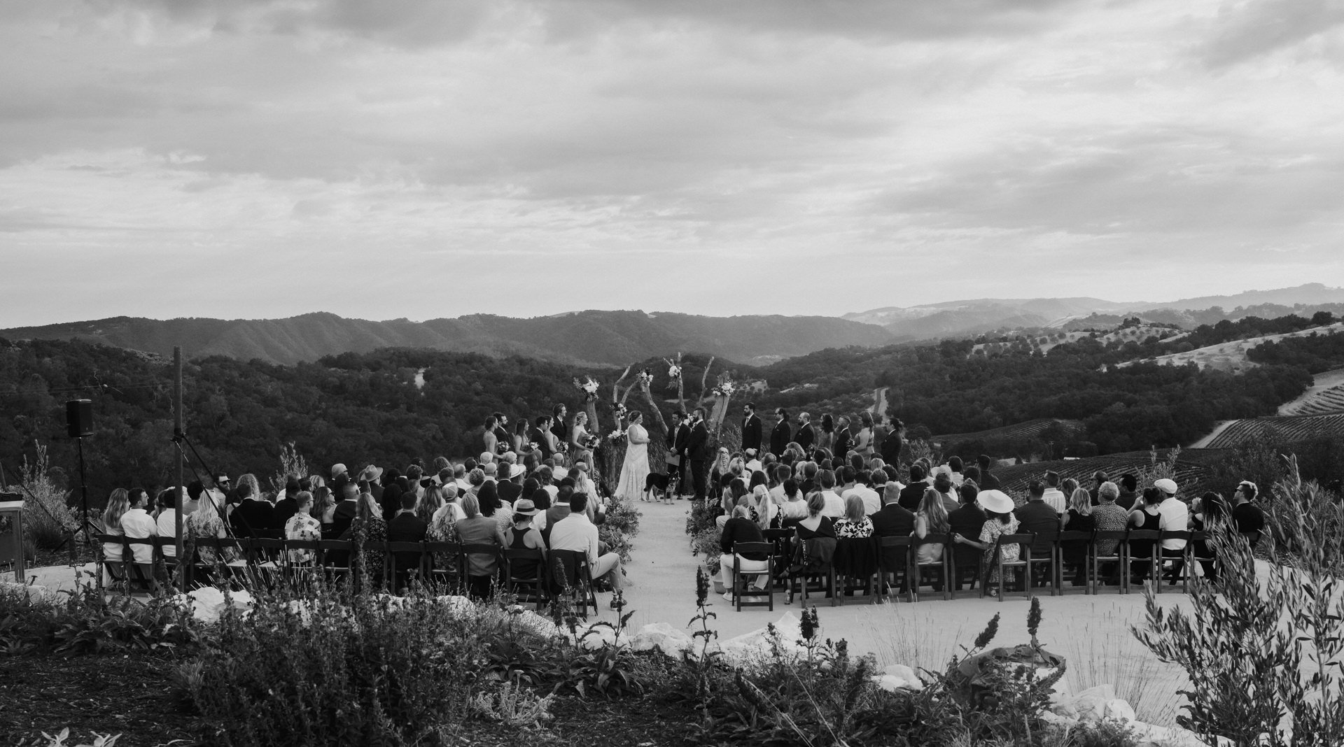 California Winery Wedding Photographers-106.jpg