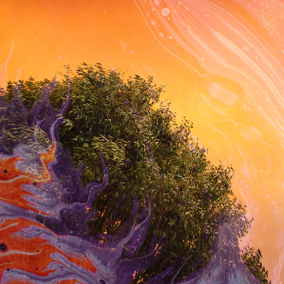 Archetypes and Making Friends