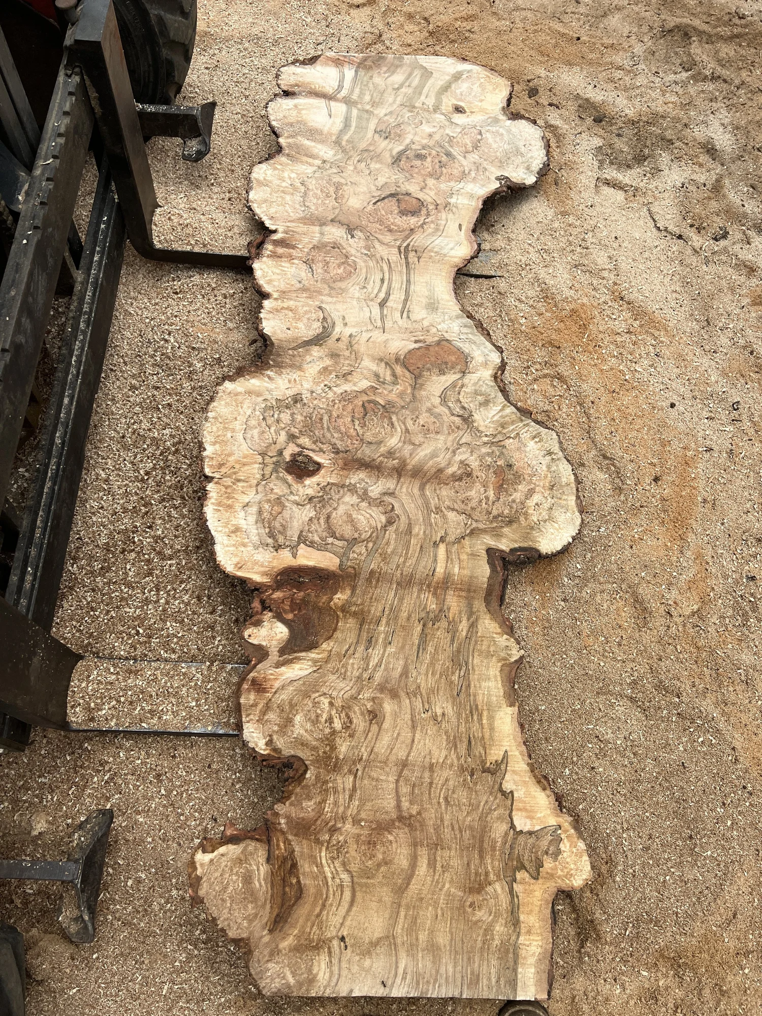 Gilmer Hall Red Maple — UVASawmilling