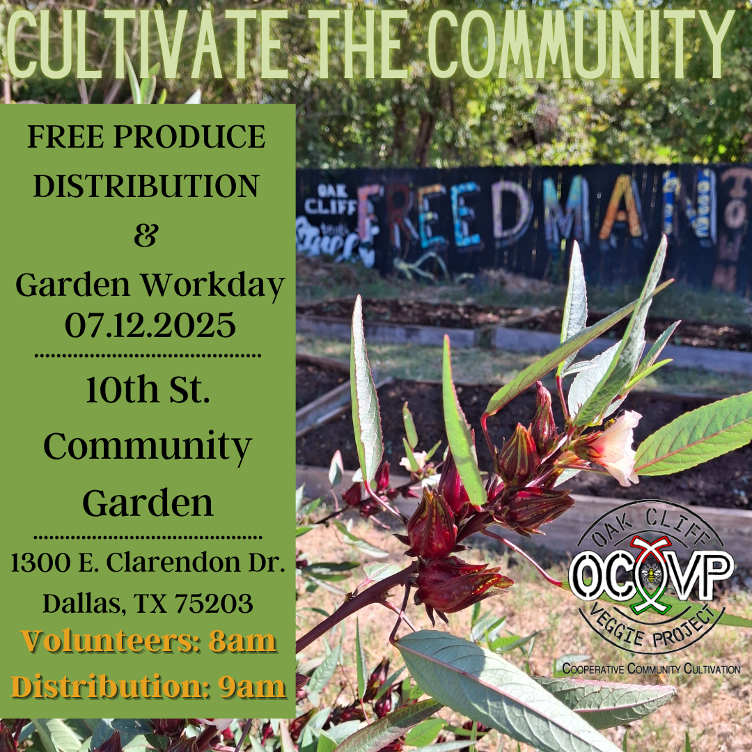 Cultivate The Community: 10th St. Community Garden