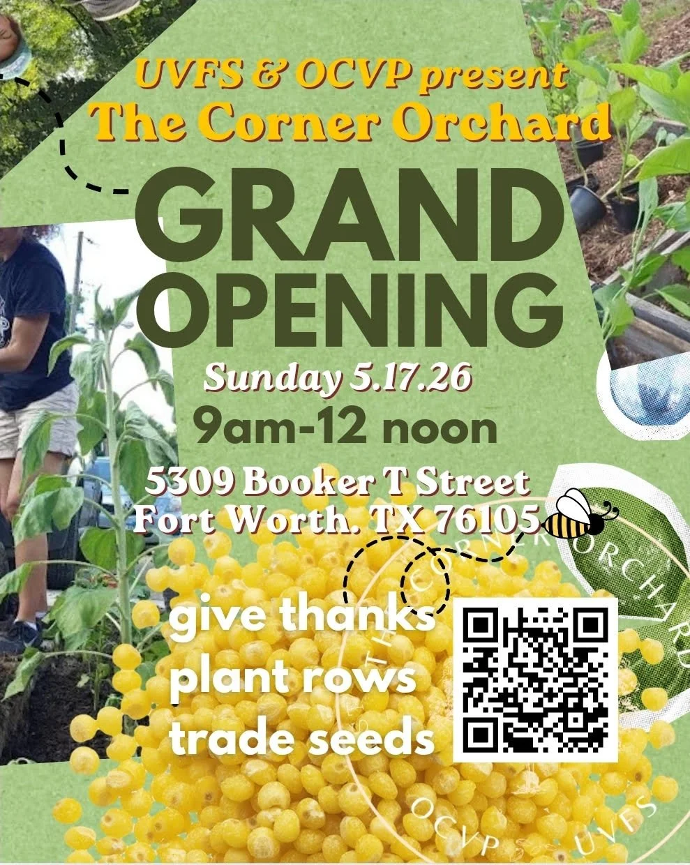 the corner orchard grand opening