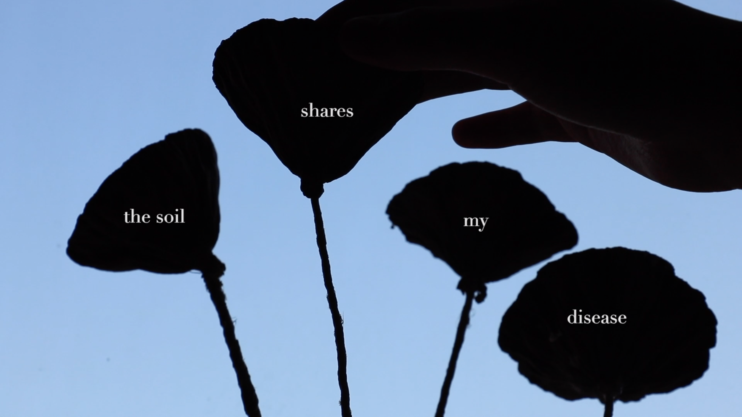 Love in the Time of Erosion_02.png