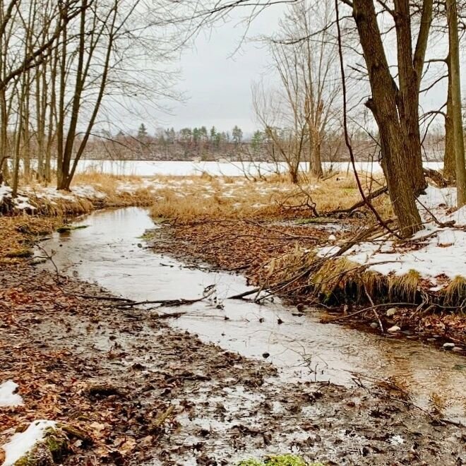 Our newest preserve, Hicks Wildlife and Nature Preserve, has it all. It features a crystal-clear stream that runs through a wooded valley and pours into Lake Wissota. We plan on building trails through this 13-acre wooded oasis, allowing wildlife obs