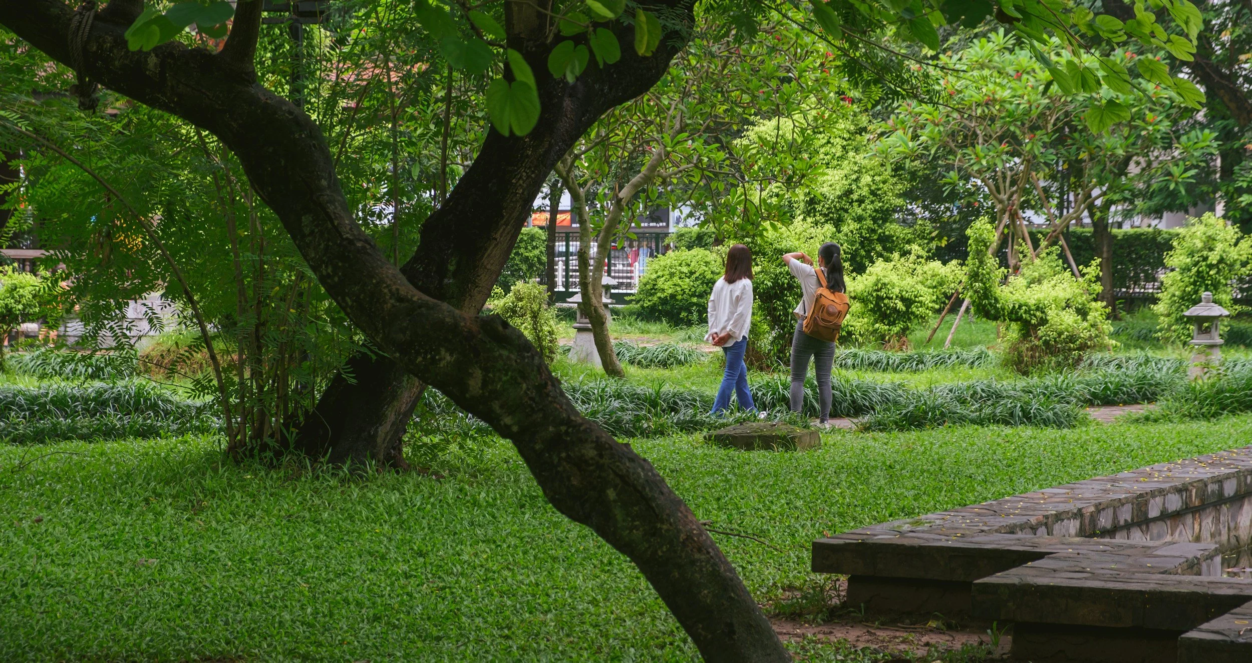 Health Promotion and the Role of Green and Blue Space in Enhancing Health