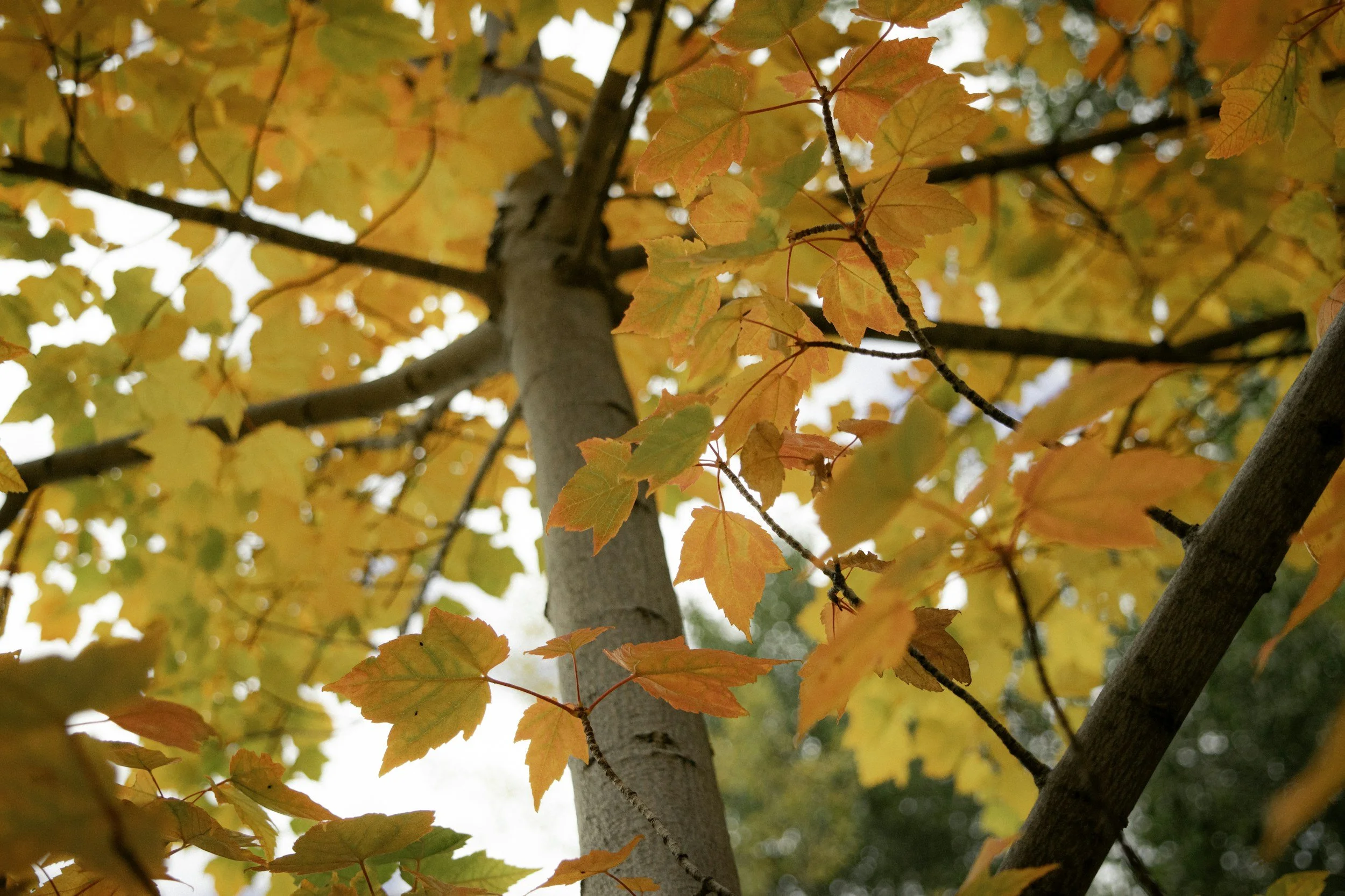 What is Value Based Outdoor HealthCare?