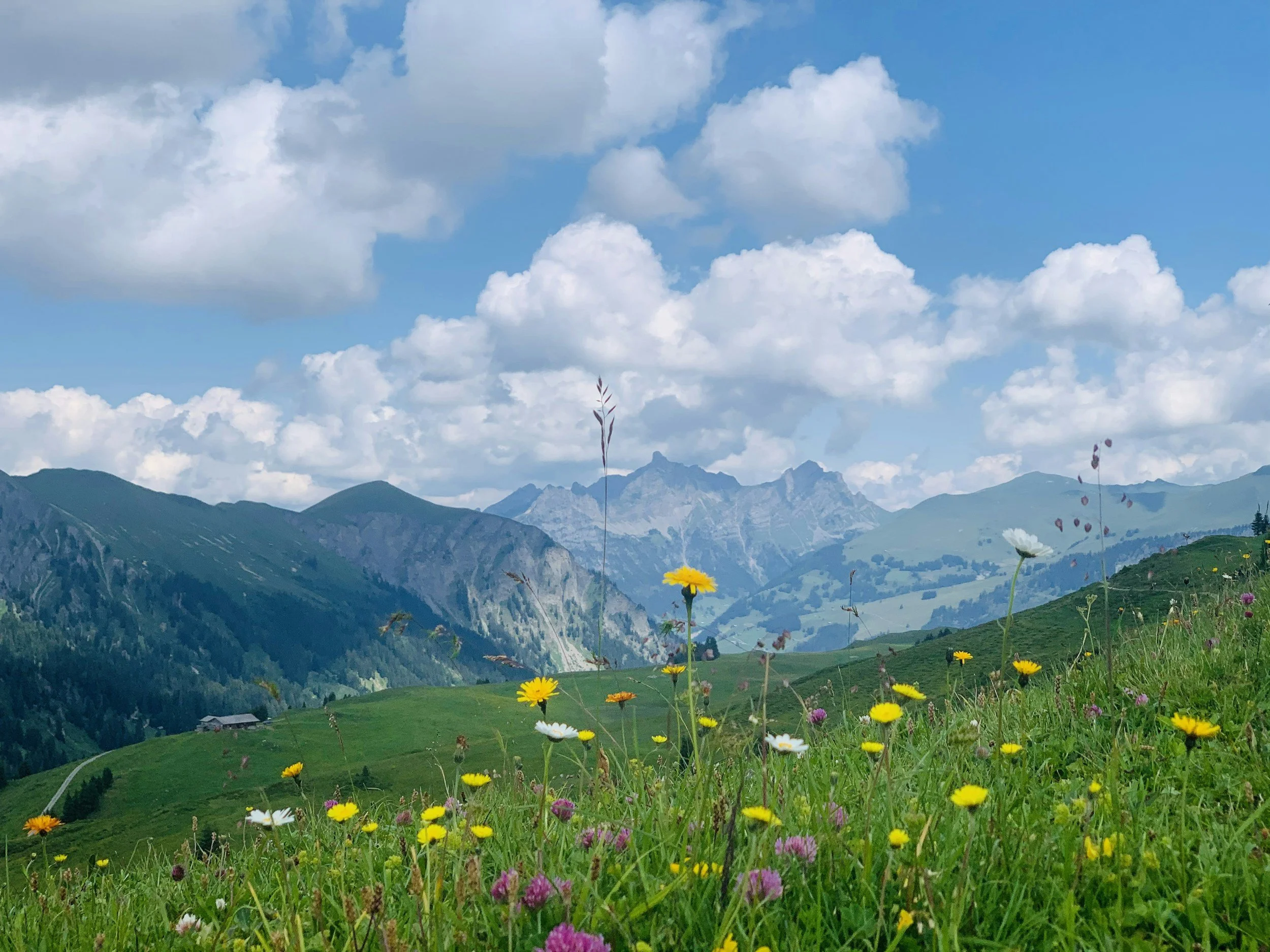 Research Proposal: Mindfulness and Nature-Based Interventions as Preventive Strategies for Chronic Disease