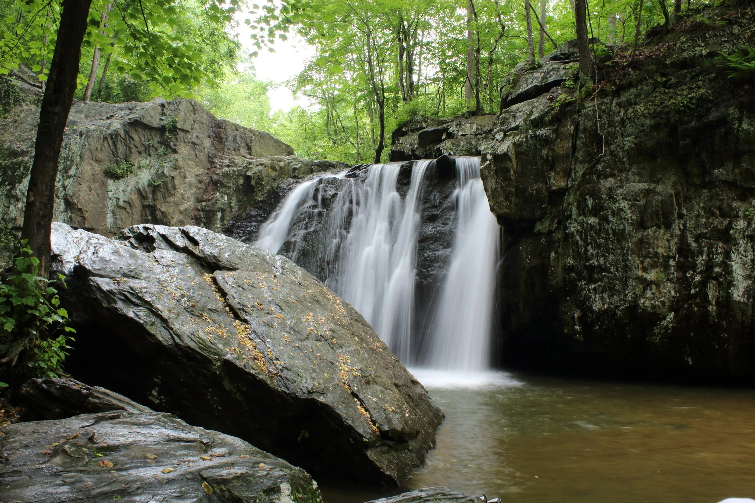 Policy Brief for Value Based Outdoor Healthcare