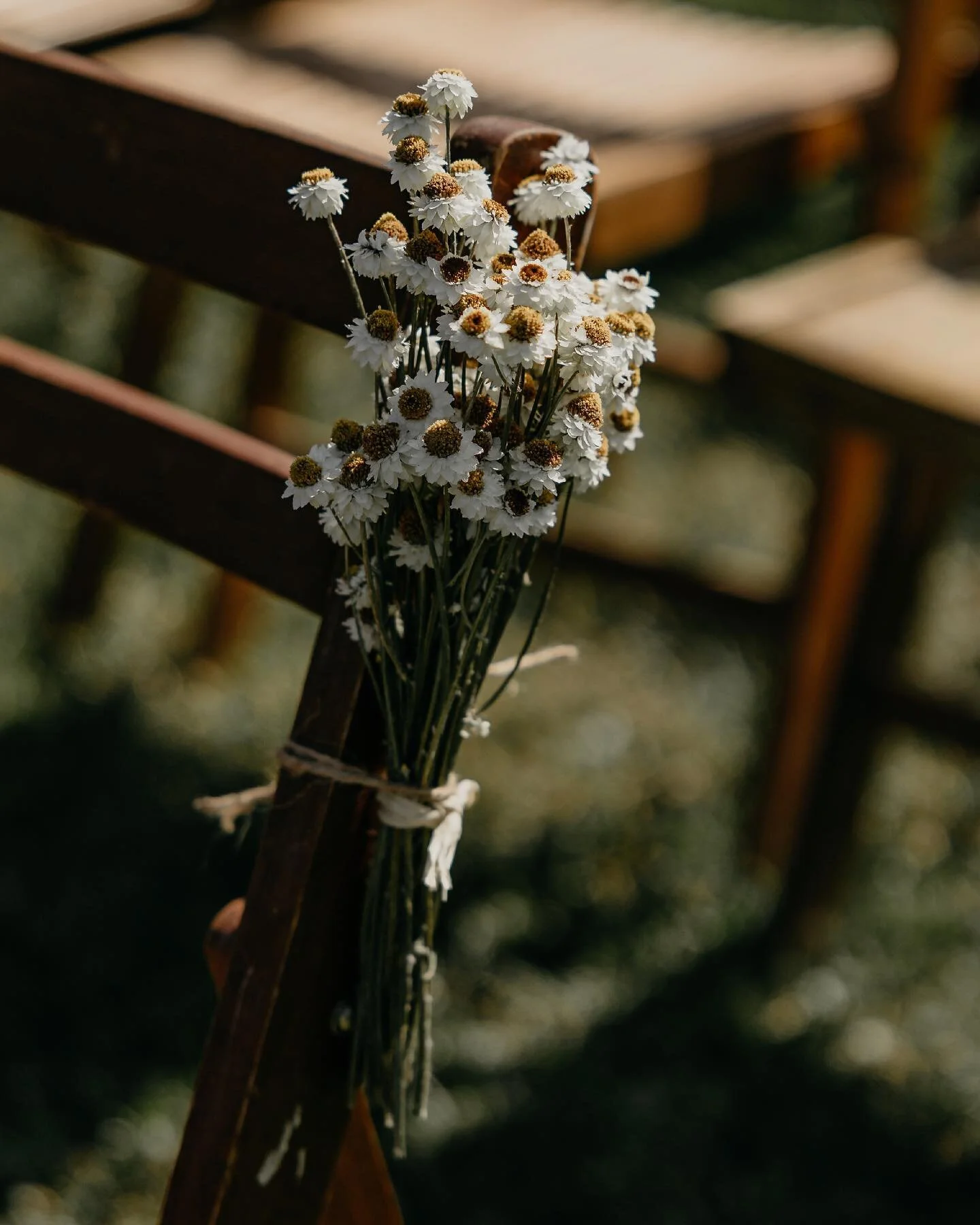 La c&eacute;r&eacute;monie et le cort&egrave;ge / 

Le mariage (un toutipeuchaud 🔥) que j'ai couvert samedi dernier. @gabrielleprovost et @juproulx &eacute;taient tout simplement sublimes!