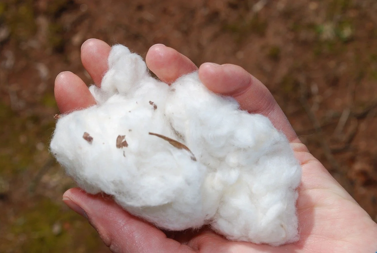 Cotton and the Closed-Loop Economy