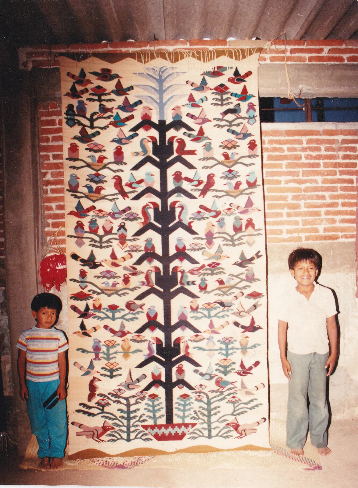 Family Gallery — The Zapotec Weavers