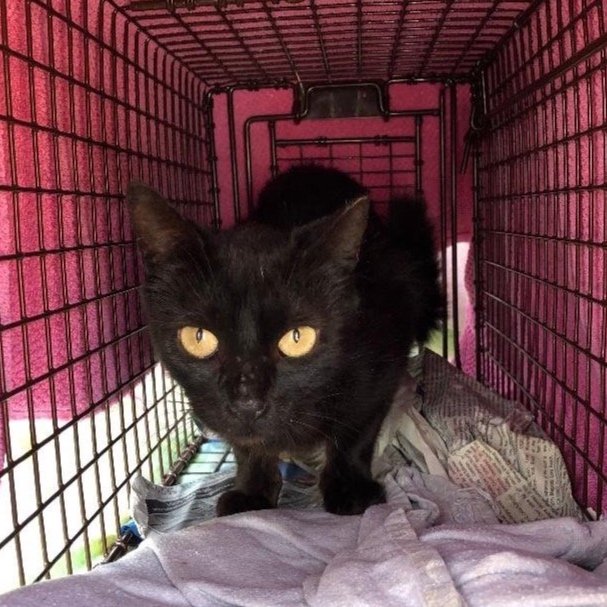 Meet our Feral Graduate!