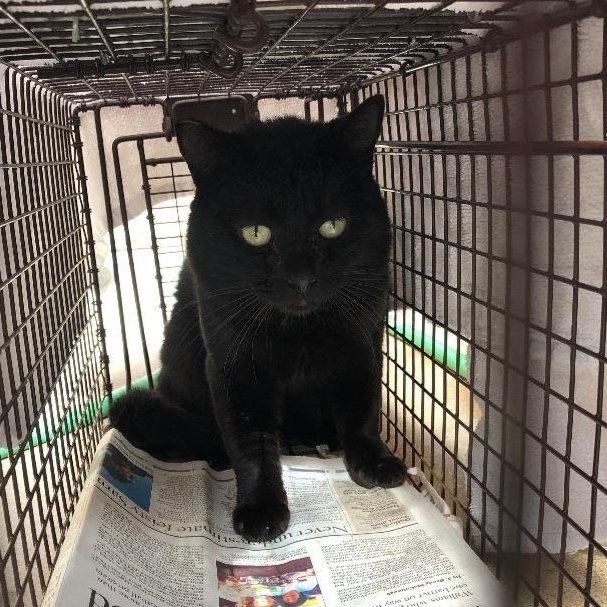 Meet our Feral Graduate!