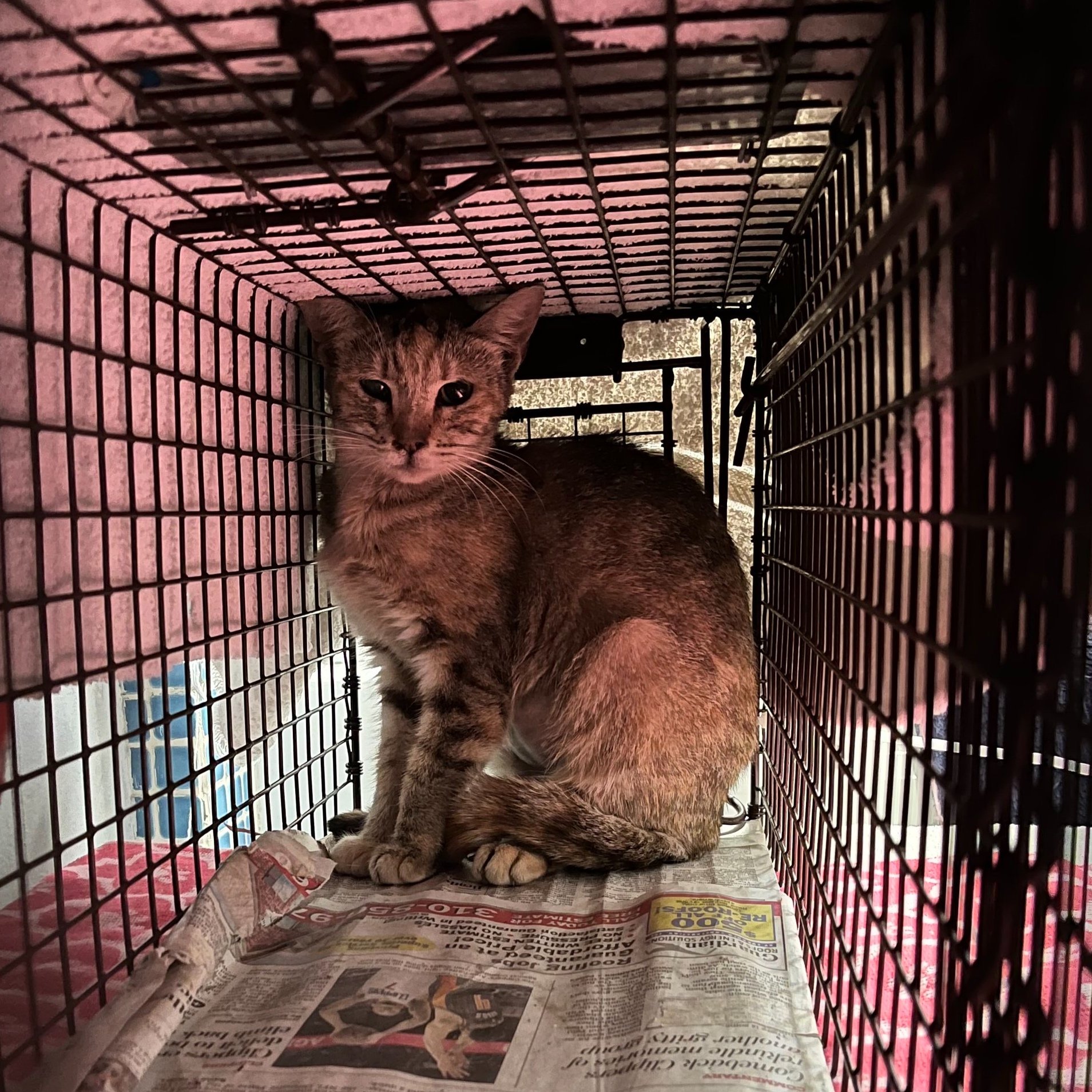 Meet our Feral Graduate!