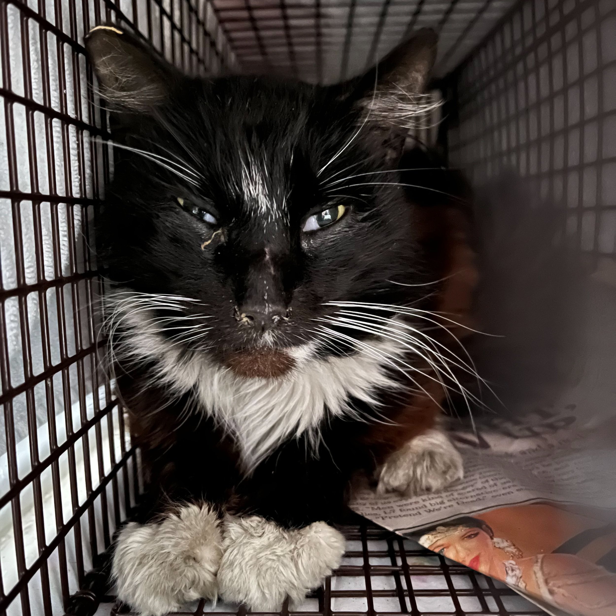 Meet our Feral Graduate!