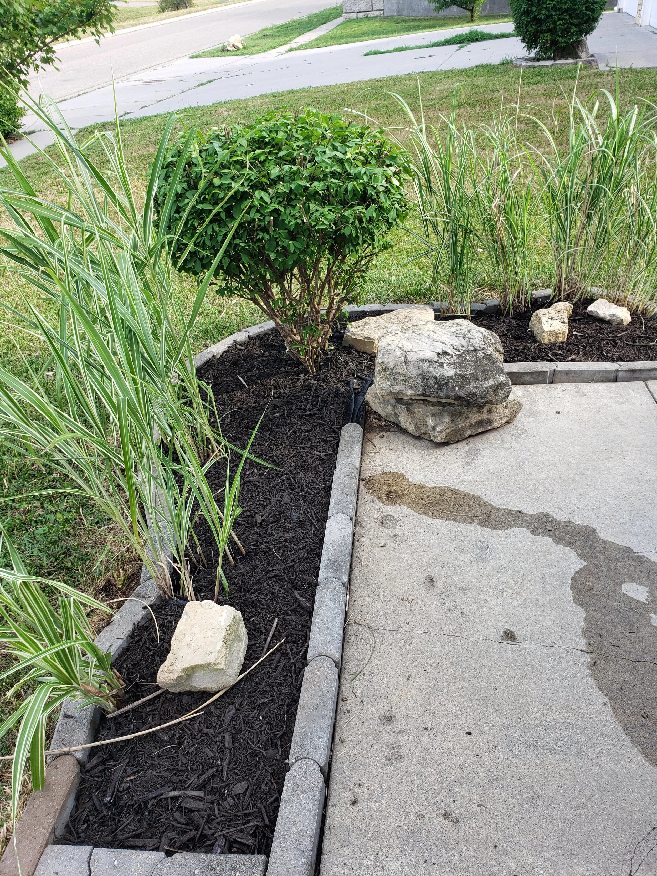 Fall Lawn Care in Junction City, KS: Give Your Yard a Strong Finish