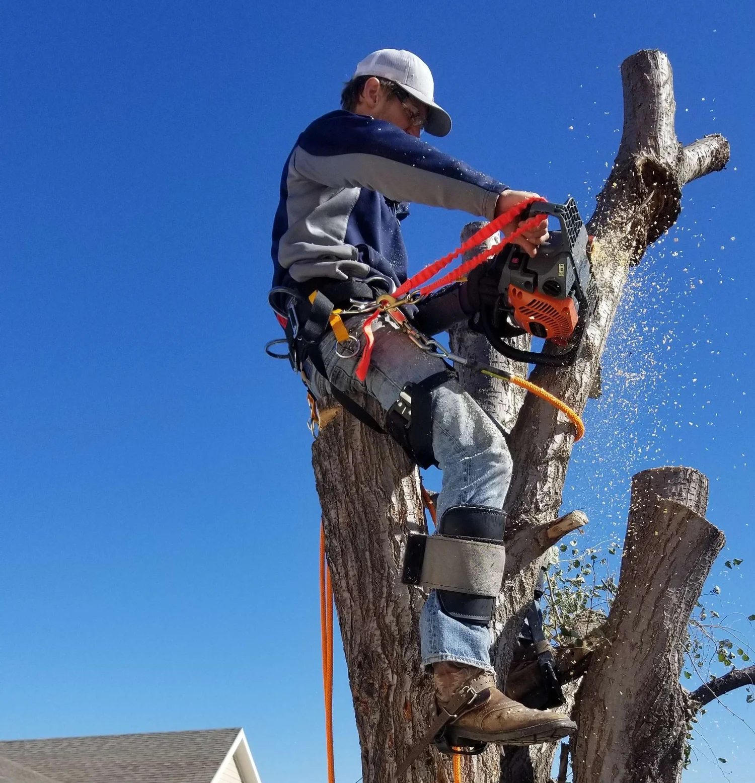 Tree Service & Tree trimming service in Geary County - Lawnmasterpro ...