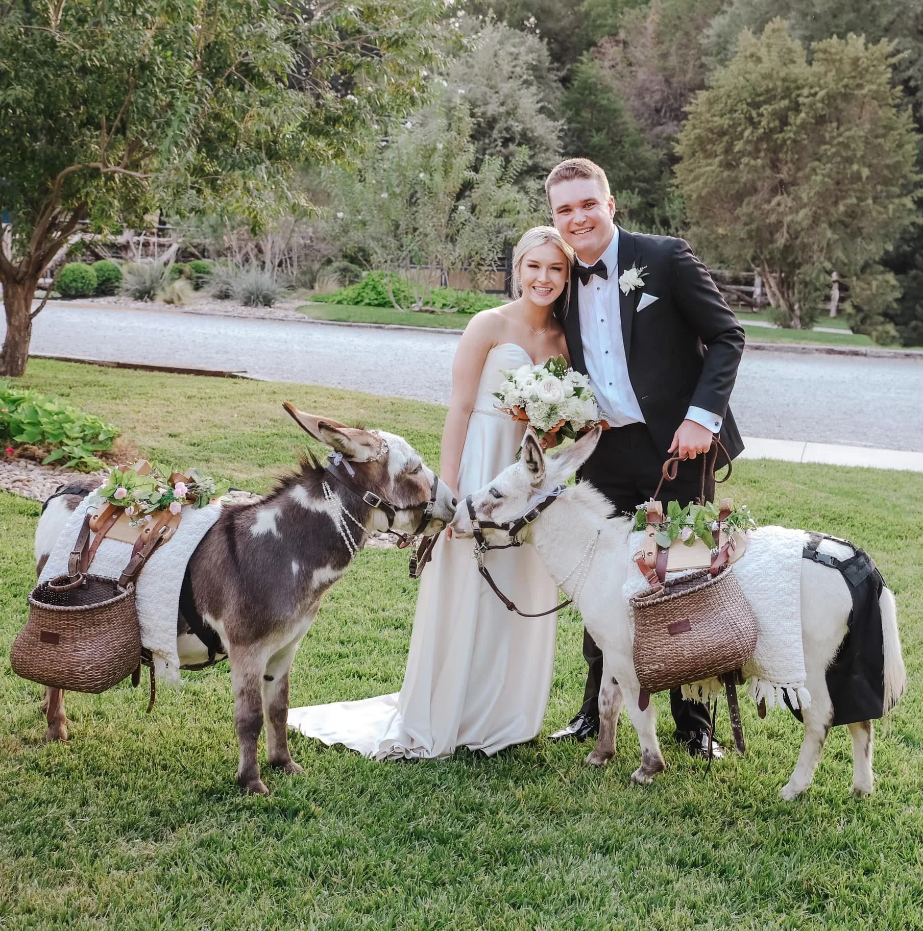 Darlin' Donkey Events