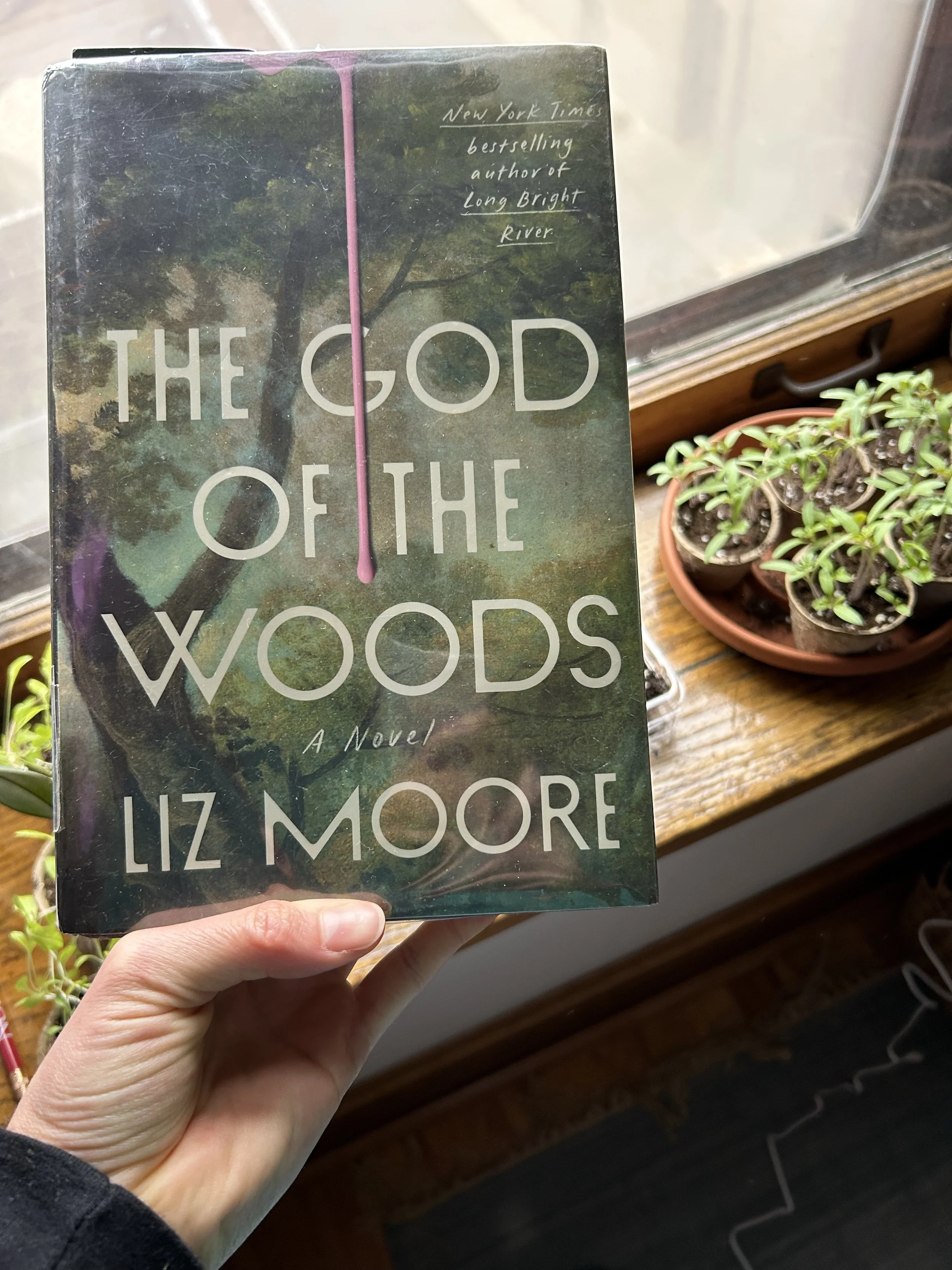 Book Review: The God of the Woods