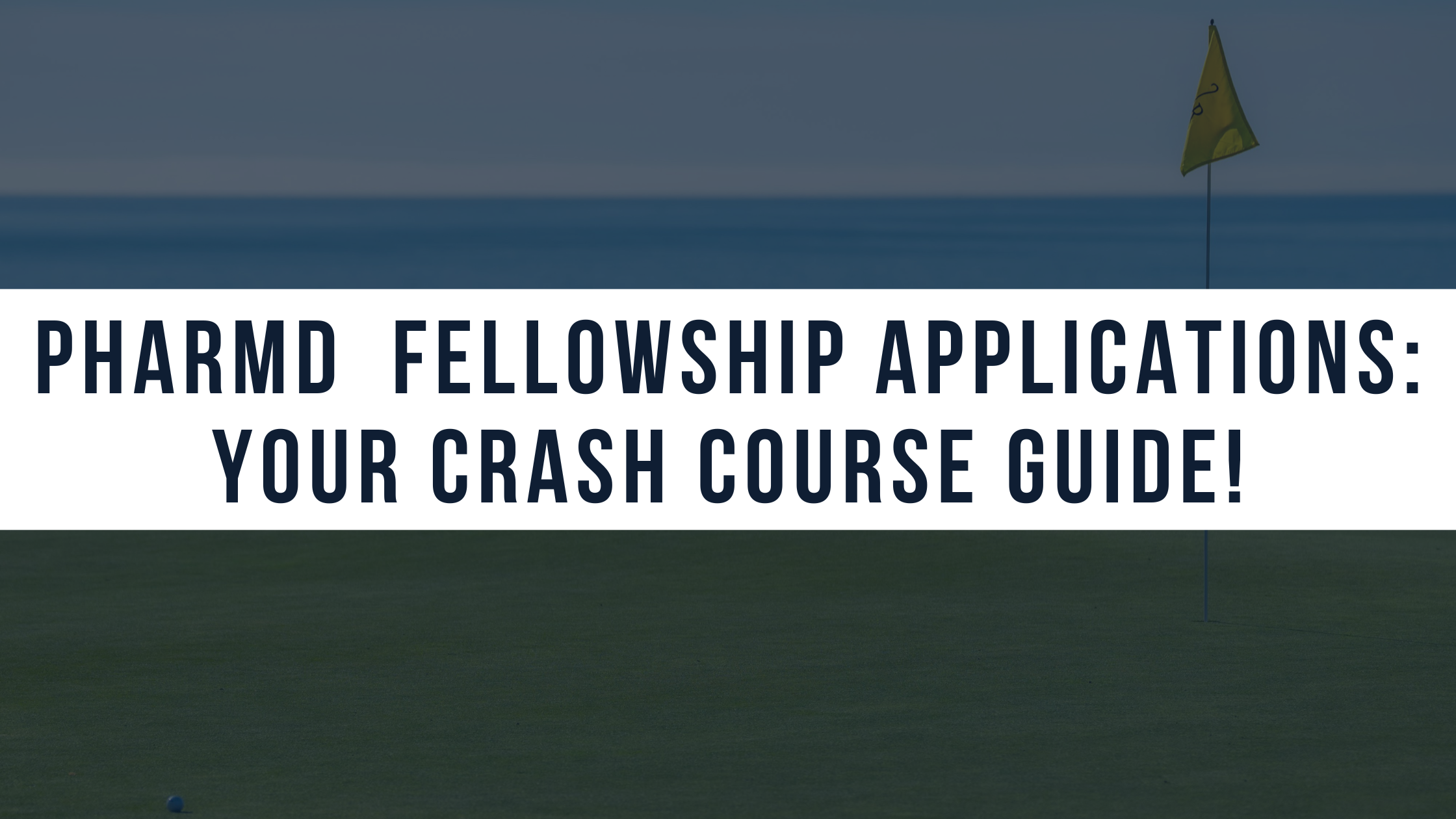 ASHP PharmD Midyear Fellowship Applications: Your Crash Course Guide!