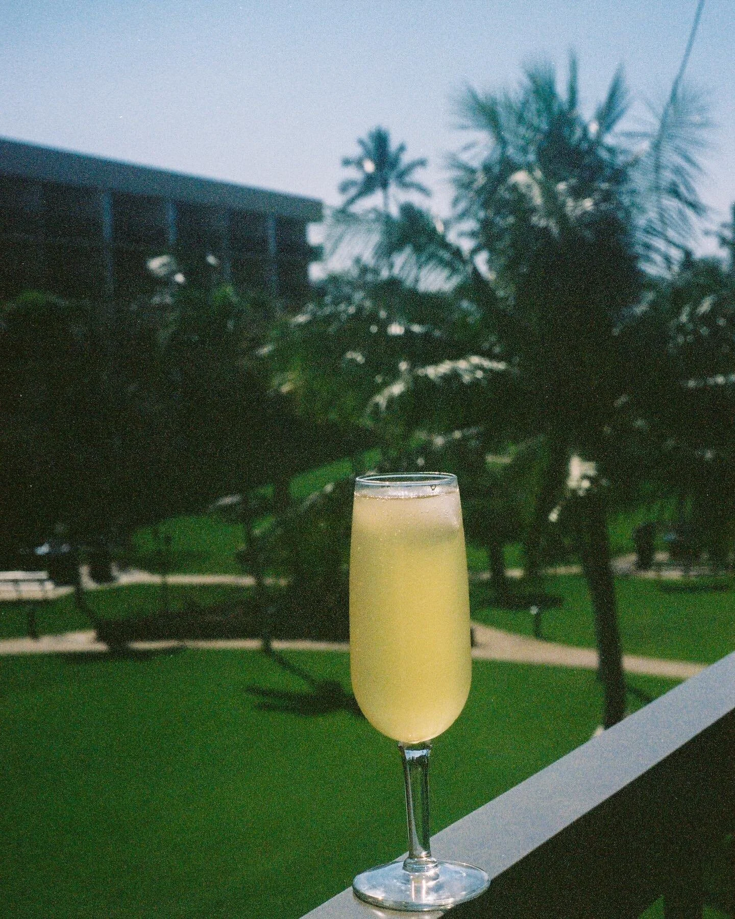 Light on the OJ, please. 
⠀⠀⠀⠀⠀⠀⠀⠀⠀
#35mm #portra400 #maui