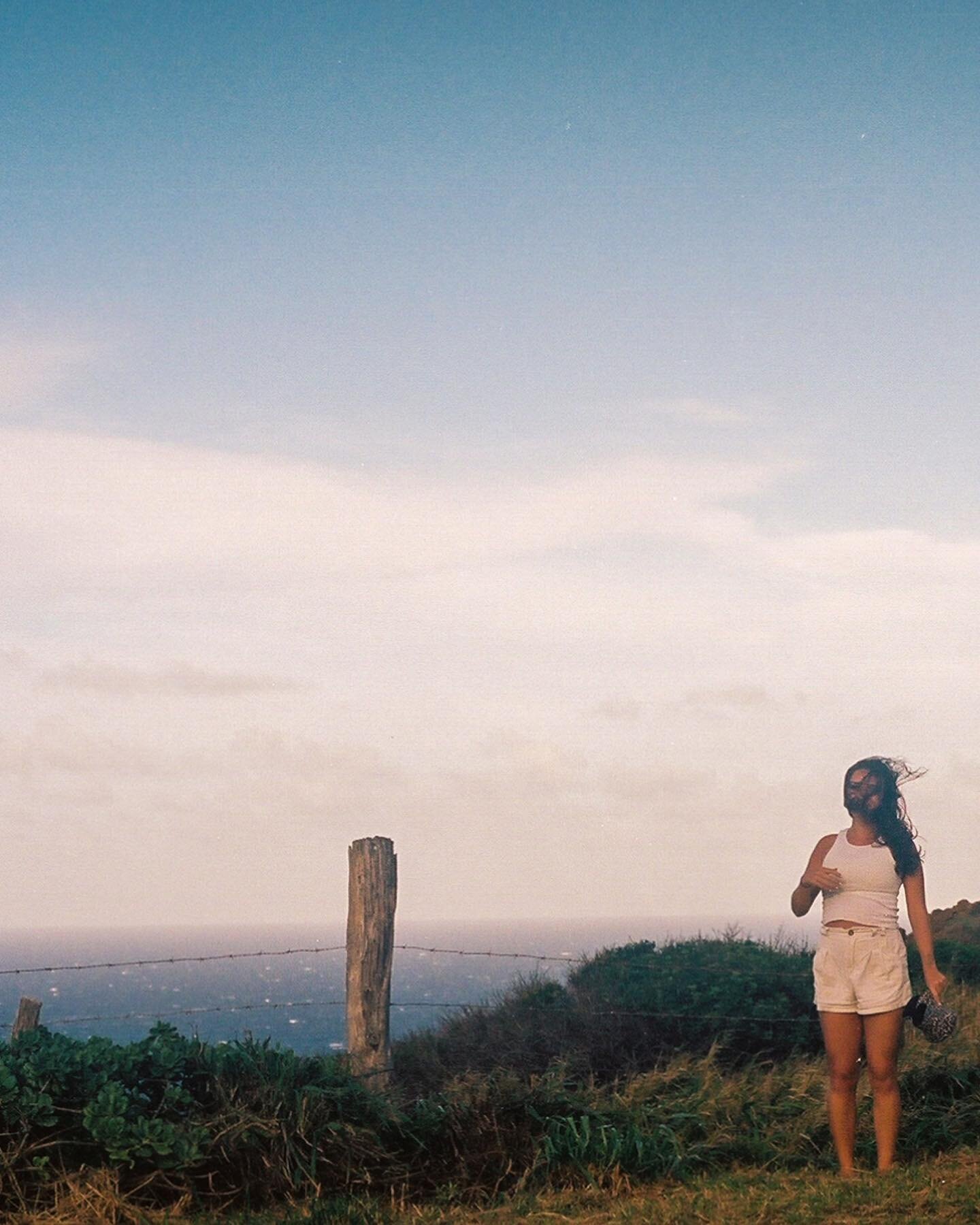 The land of palms &amp; poke 🐟 
⠀⠀⠀⠀⠀⠀⠀⠀⠀
#35mm