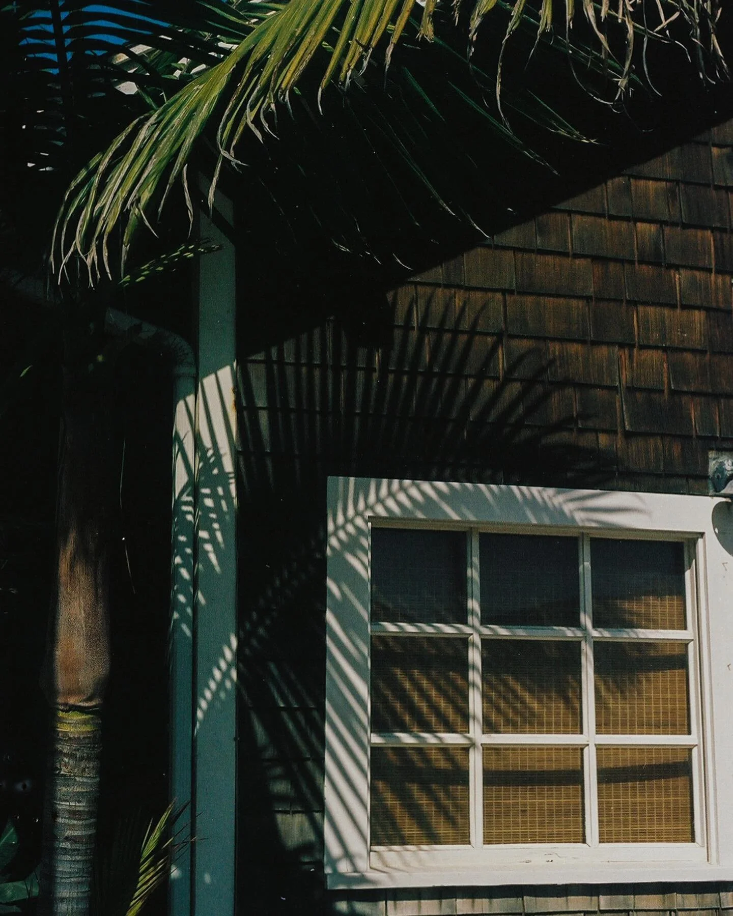 The remainder of my #35mm Maui flicks 
⠀⠀⠀⠀⠀⠀⠀⠀⠀
#portra400 never disappoints but I want to try something new. Send me film recs, please&amp;thankyou 💌