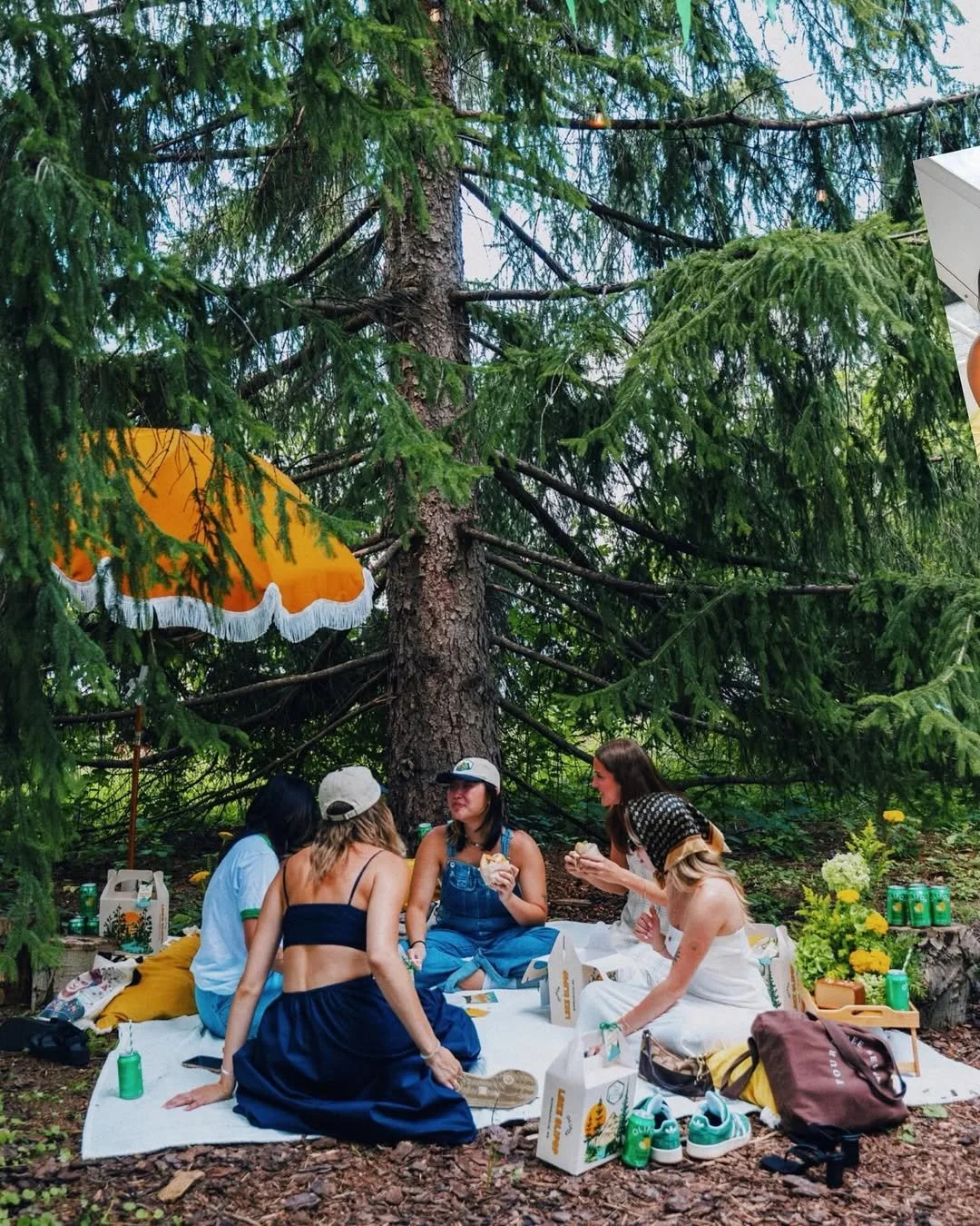 postcards from lake olipop ⛵️🌲🍓🏕️.jpg
