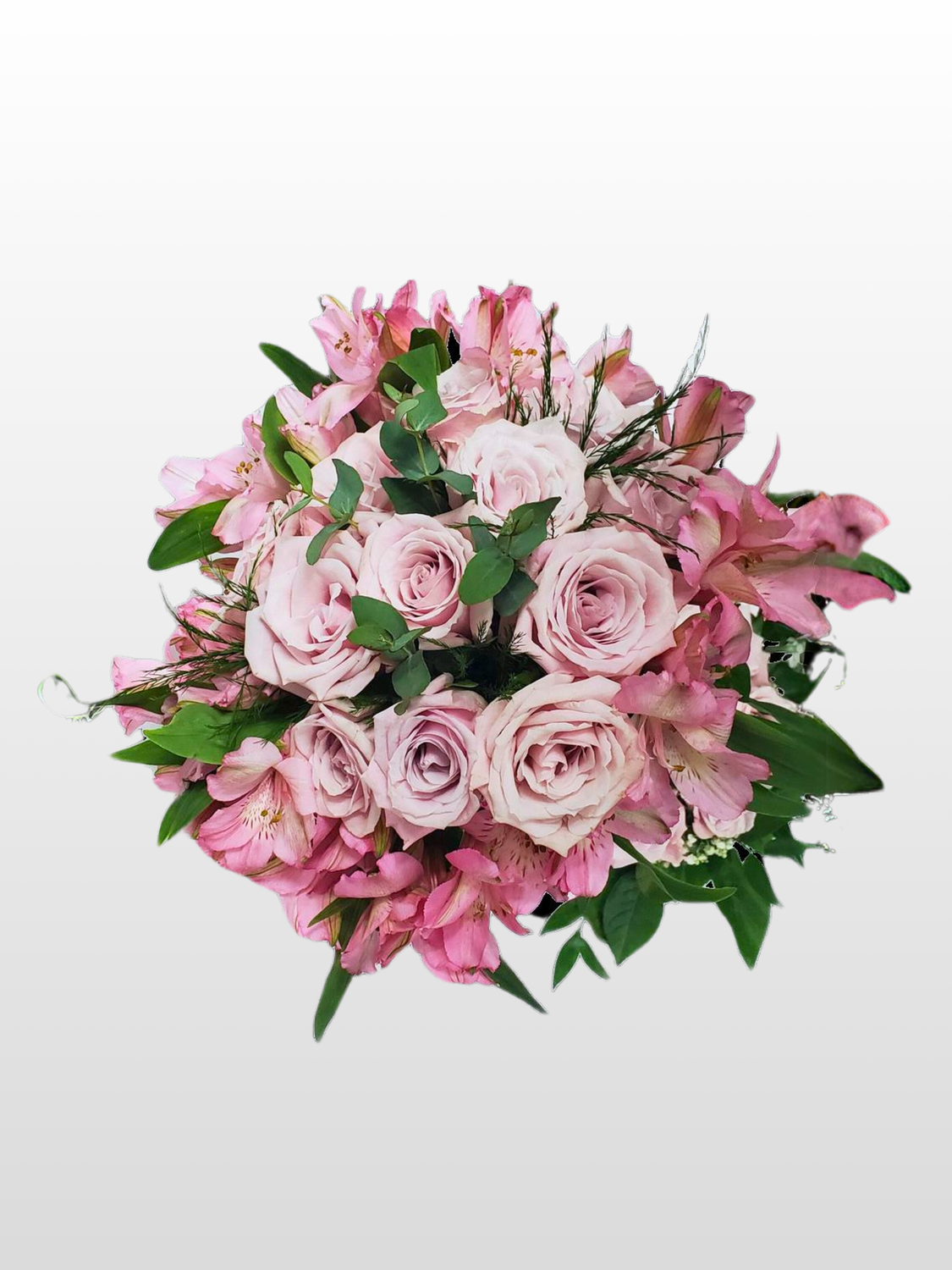 Tickled+Pink+Ready+%281%29.png